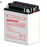 Magnasport YB12A-B Lakehead Inkjet & Toner