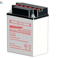 Magnasport YB14A-A1 Lakehead Inkjet & Toner