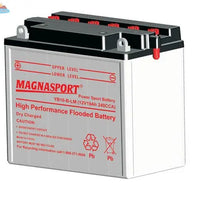 Magnasport YB16L-B Lakehead Inkjet & Toner