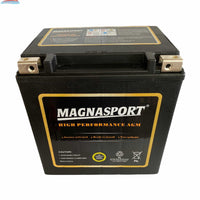 Magnacharge MTX30L-BS Magnacharge