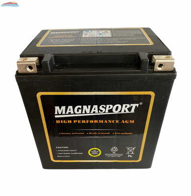 Magnavolt 12V/20AH Sealed Lead Acid Battery - Cycling Series* - Lakehead  Inkjet & Toner