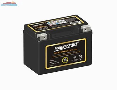 Magnacharge MTX9-BS Magnacharge