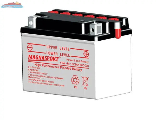 Magnasport YB4L-B Lakehead Inkjet & Toner