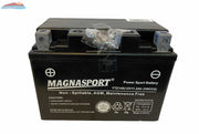 Magnasport YTZ14S Lakehead Inkjet & Toner